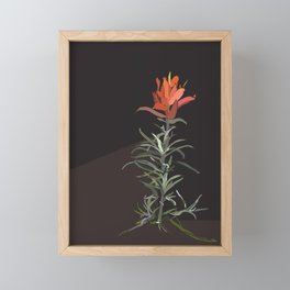 Indian Paintbrush In Bloom Framed Mini Art Print