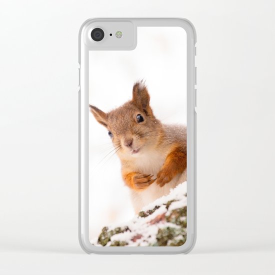 Squirrel in first snow Clear iPhone Case