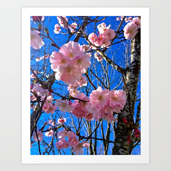 Portland Sakura Art Print