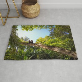 Relaxing Monkey Couple in Tropical Forest Area & Throw Rug