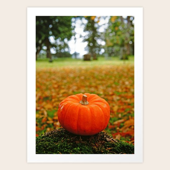 Autumn orange Art Print