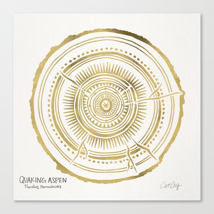 Quaking Aspen – Gold Tree Rings Leinwanddruck