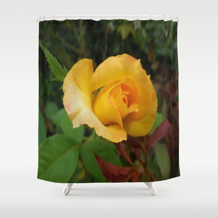 Yellow Rose Of Texas Shower Curtain By Eloiseart Society6