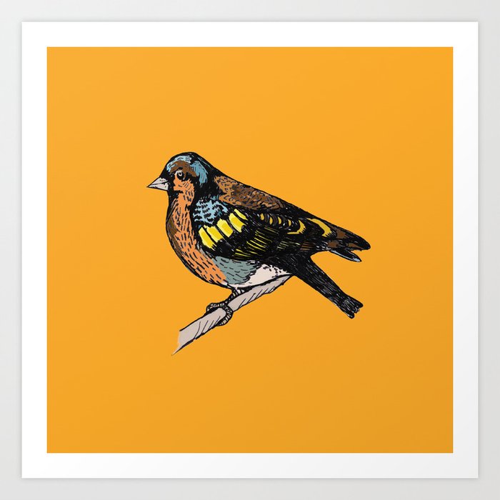 CHAFFINCH BIRD PRINT Art Print