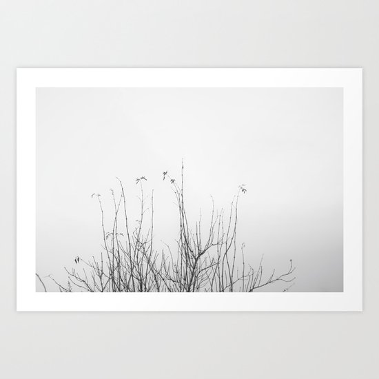 possibly Art Print