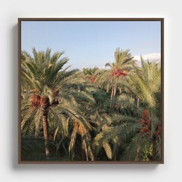 Palm trees valley with red fruit Framed Canvas