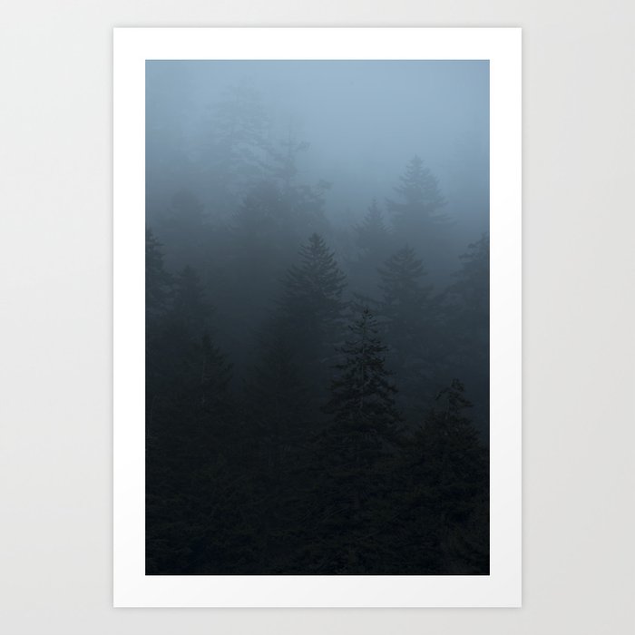 Blue Trees in Fog Great Smoky Mountains Art Print