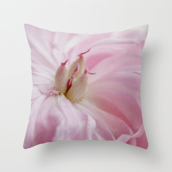 inside Throw Pillow