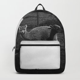 Alpaca/llama paddock Backpack