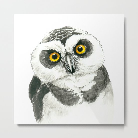 Owl Metal Print