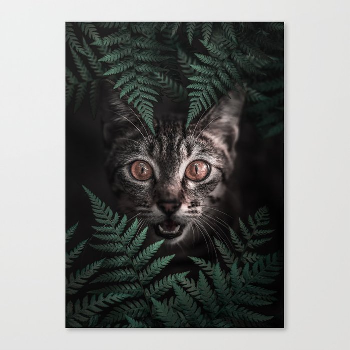 Hiding Kitty Cute Cat Bengal Canvas Print