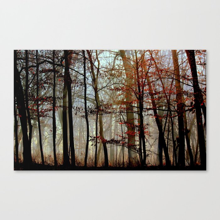 Mysterious Forest Canvas Print