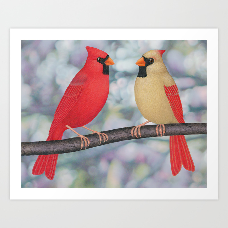 Northern cardinal couple Art Print by Sarah Knight | Society6