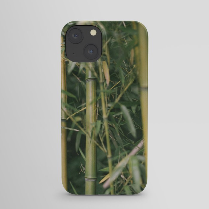 bamboo composition no.1 iPhone Case
