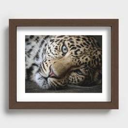Leopard - Those eyes Recessed Framed Print