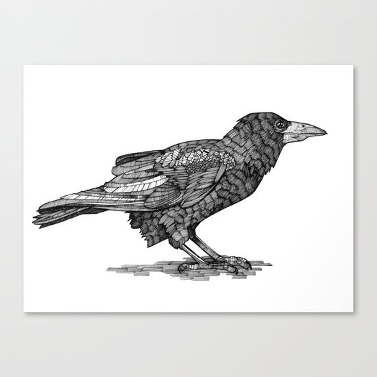 Rook Canvas Print