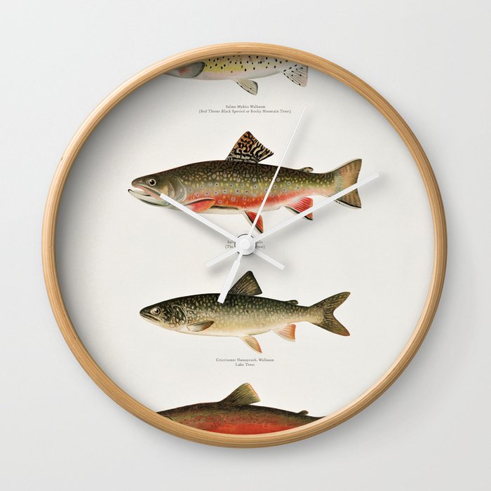 Illustrated North American Freshwater Trout Game Fish Identification Chart Wall Clock