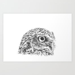 Owl Side View Art Print