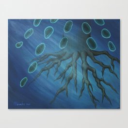 Root Under the Water Canvas Print