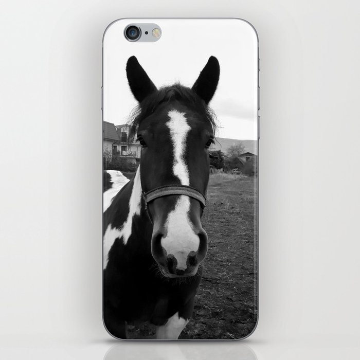 Vintage monochrome spotted horse in the suburbia iPhone Skin