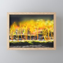 Growing Golden Framed Mini Art Print