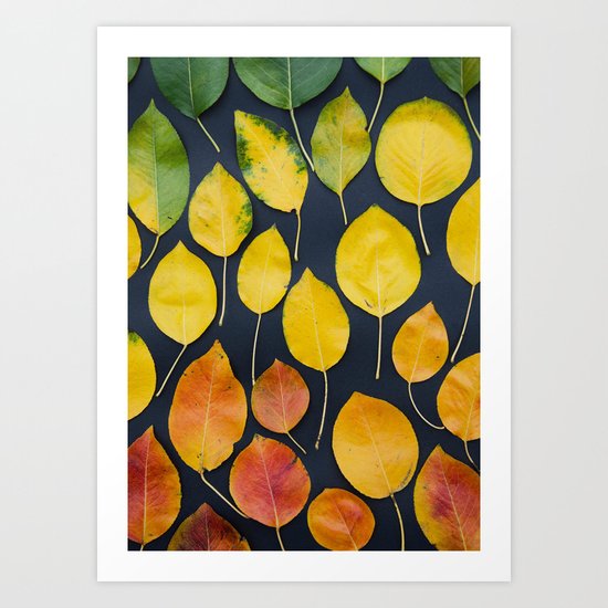 Leaf fall Art Print