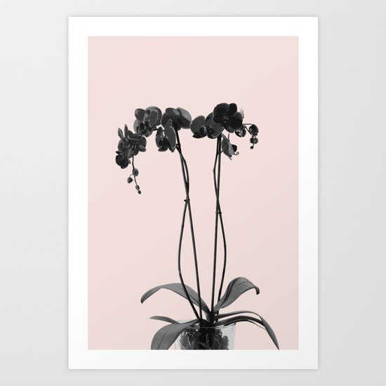 Orchid summer bloom Art Print