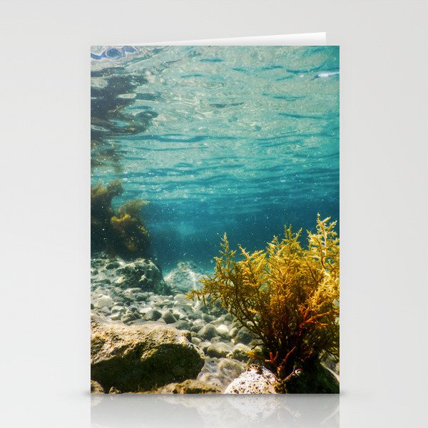 Forest of Seaweed, Seaweed Underwater, Seaweed Shallow Water near surface Stationery Cards