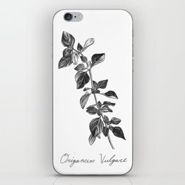 Oregano Botanical Illustration iPhone Skin