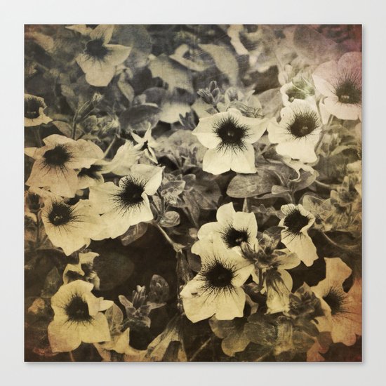 Soul Flowers Canvas Print