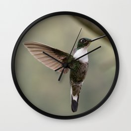 Collard Inca Hummingbird Wall Clock