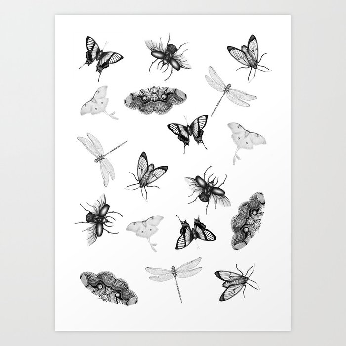 Entomologist Dreams Art Print