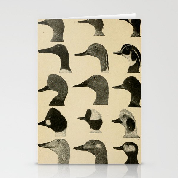 Vintage Duck Heads Stationery Cards