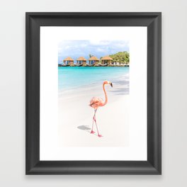 Flamingo Beach, Aruba Framed Art Print