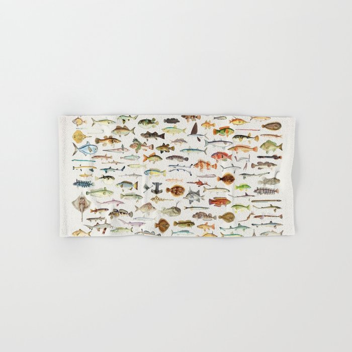 Illustrated Colorful Southern Pacific Exotic Game Fish Identification Chart Hand & Bath Towel
