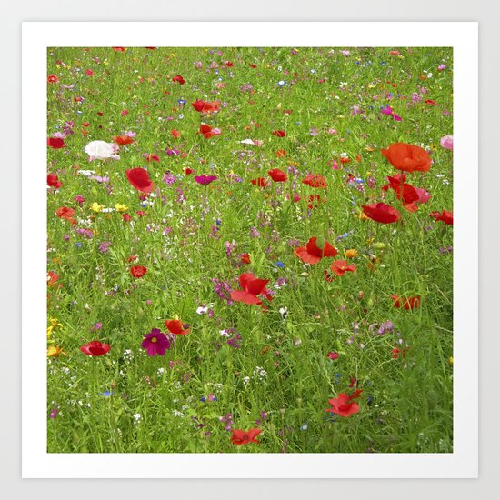 summer meadow IX Art Print
