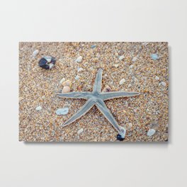 Starfish St Augustine Beach Metal Print