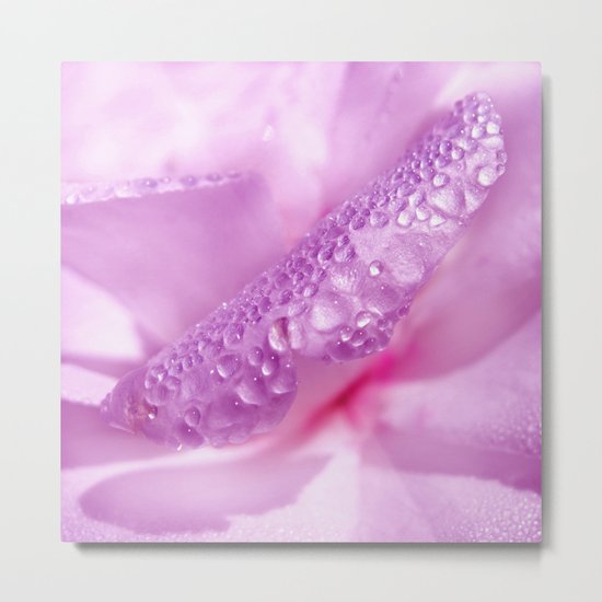 water drops petal I Metal Print