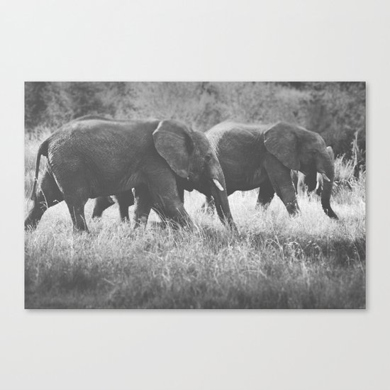 Grazing Elephants Canvas Print