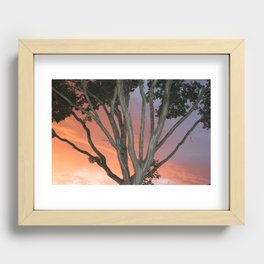 Insanity Photography Recessed Framed Print