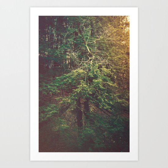 Evermore Art Print