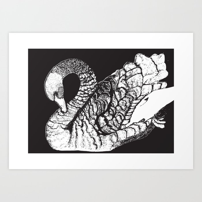 Swan on black background Art Print