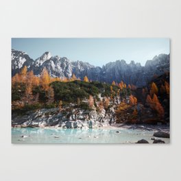 WORMS EYE VIEW OF MOUNTAIN IN THE MORNING Canvas Print