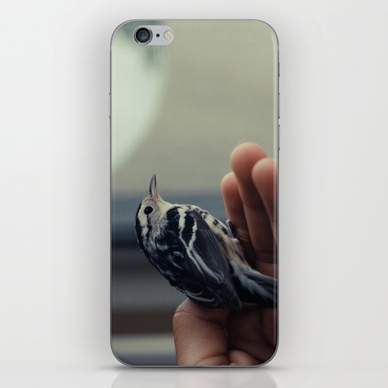 Bird iPhone Skin
