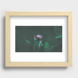 Lady Bug - Grounded green collection Recessed Framed Print