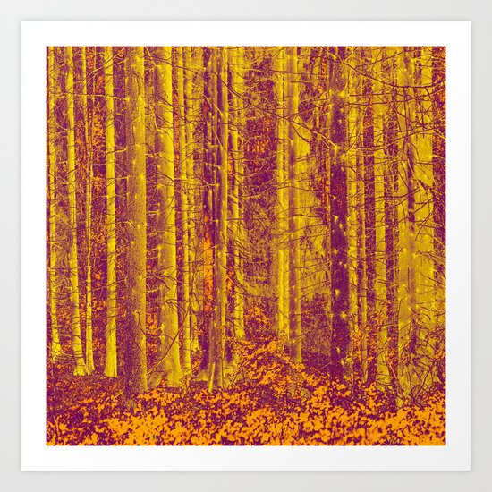 In the middle of the forest Art Print