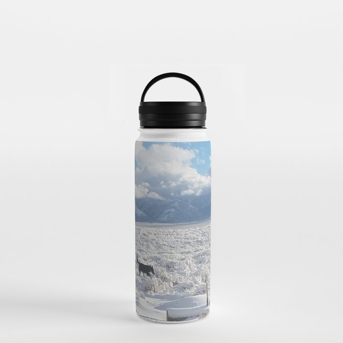 Snow Dog Water Bottle