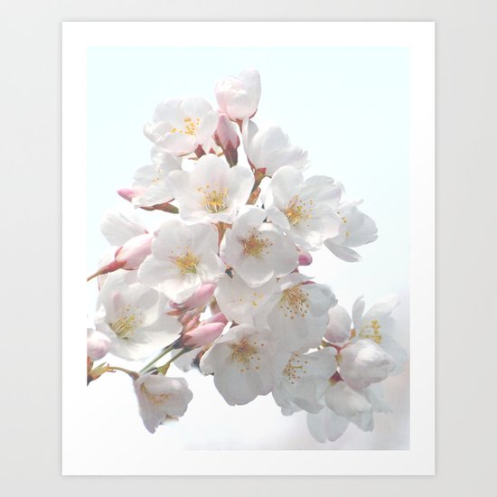 SPRING CHERRY BLOSSOM Art Print