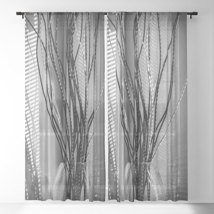 Black and White Line Shadow Photography Bathroom Reeds in a Vase  Sheer Curtain