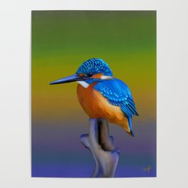 Common kingfisher painting, beautiful blues and oranges, great gift for a bird lover Poster